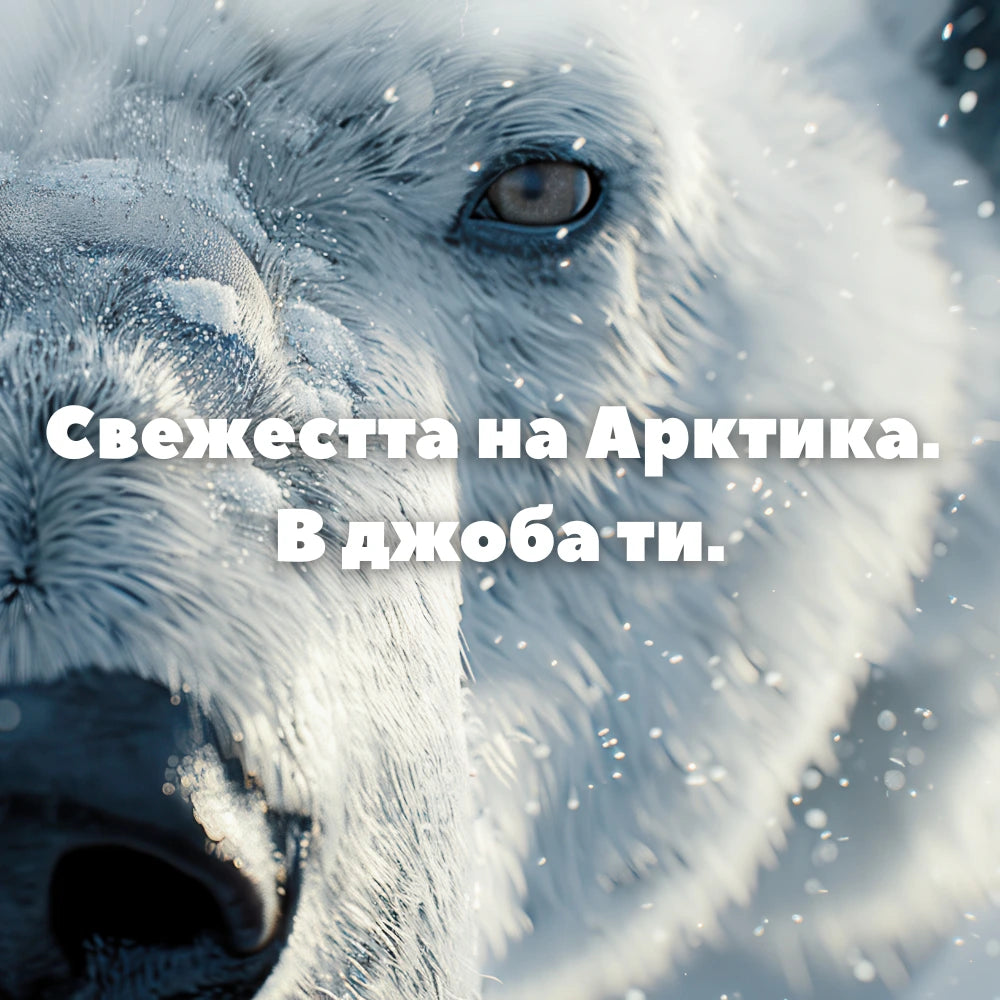 Назален инхалатор Освежаваща Мента - GoodGood (3 стика в пакет)