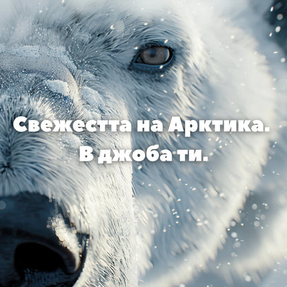 Назален инхалатор Освежаваща Мента - GoodGood (3 стика в пакет)